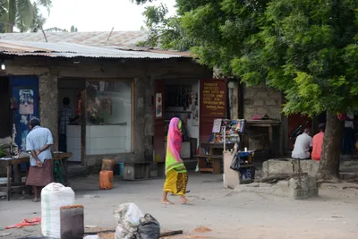 DSC_7545 (Large).JPG